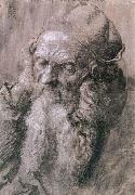 Albrecht Durer Study of a Man Aged painting